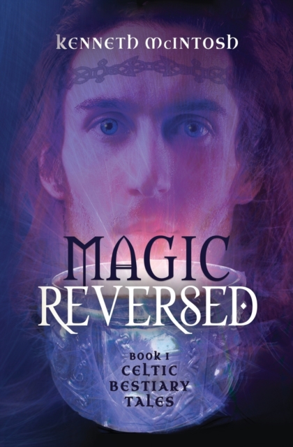 Magic Reversed : Celtic Bestiary Tales Book 1, Paperback / softback Book