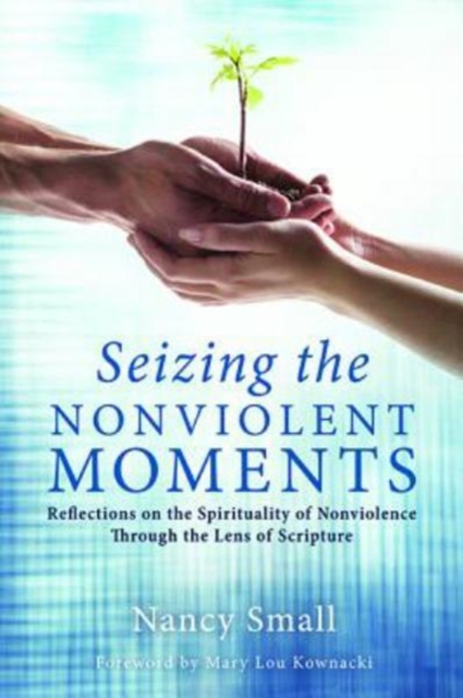 Seizing the Nonviolent Moments, Paperback / softback Book