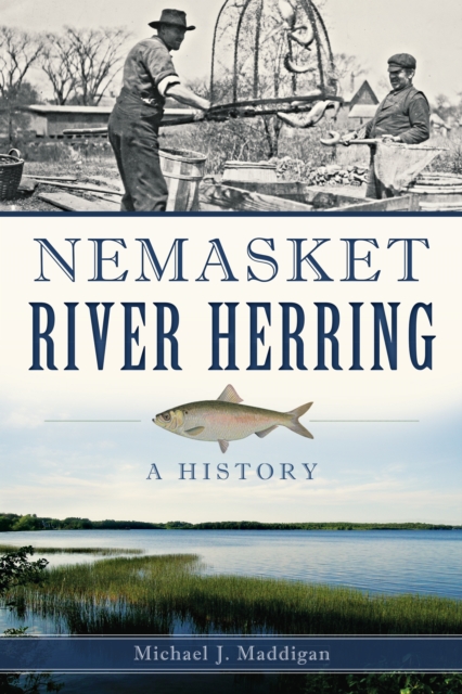 Nemasket River Herring : A History, EPUB eBook