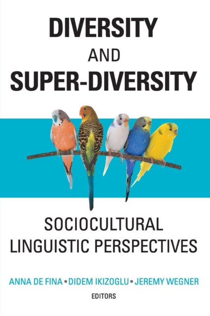 Diversity and Super-Diversity : Sociocultural Linguistic Perspectives, Paperback / softback Book