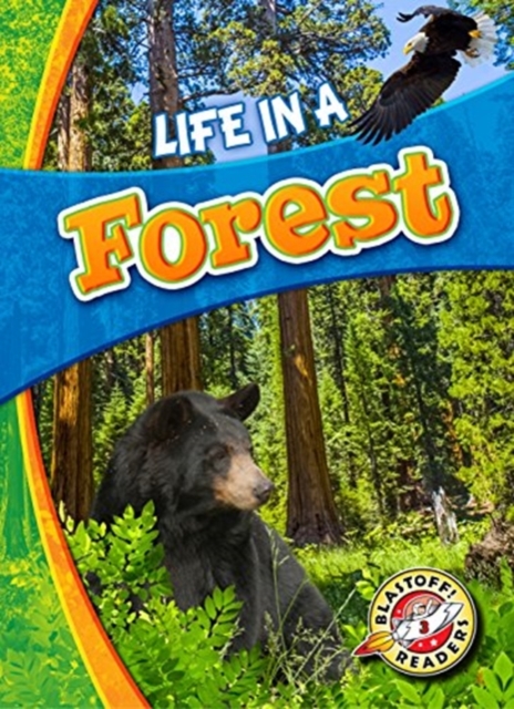 Life in a Forest, Hardback Book