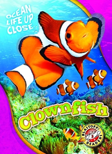 Clownfish, Hardback Book