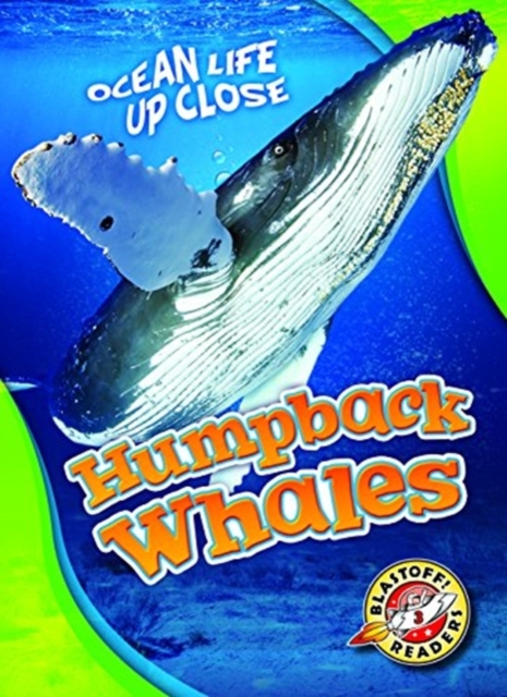 Humpback Whales, Hardback Book