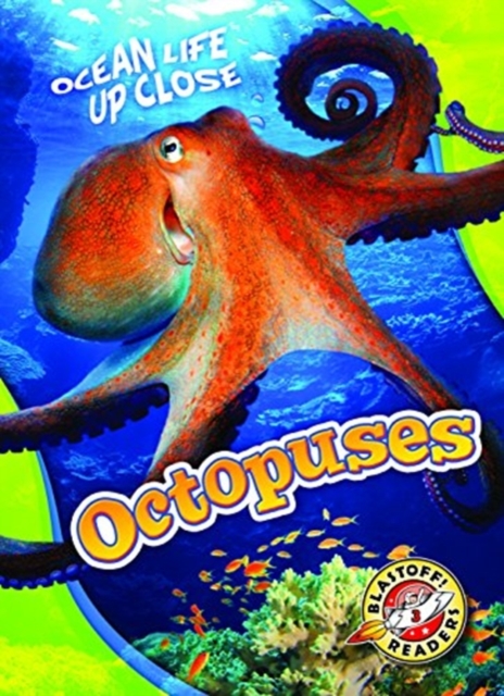 Octopuses, Hardback Book