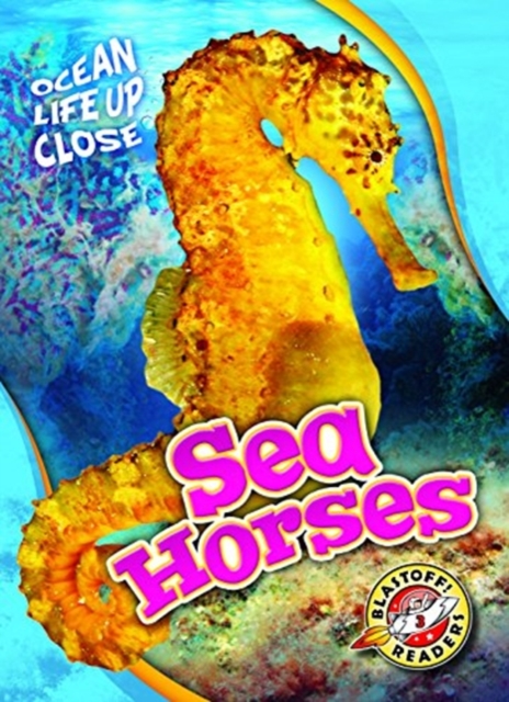 Sea Horses, Hardback Book