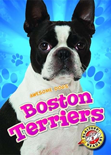 Boston Terriers, Hardback Book