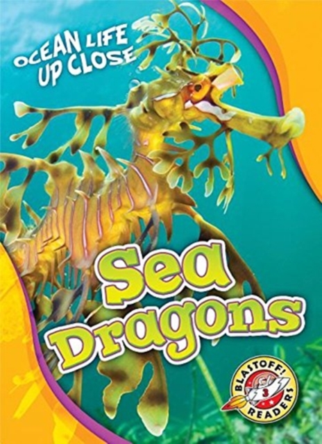 Sea Dragons, Hardback Book