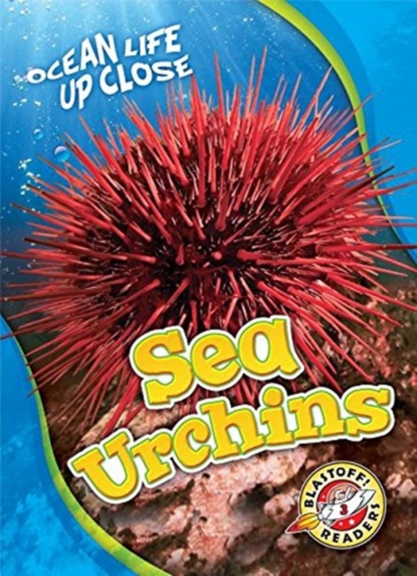 Sea Urchins, Hardback Book