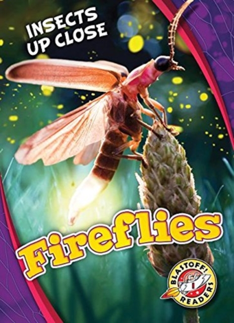 Fireflies, Hardback Book