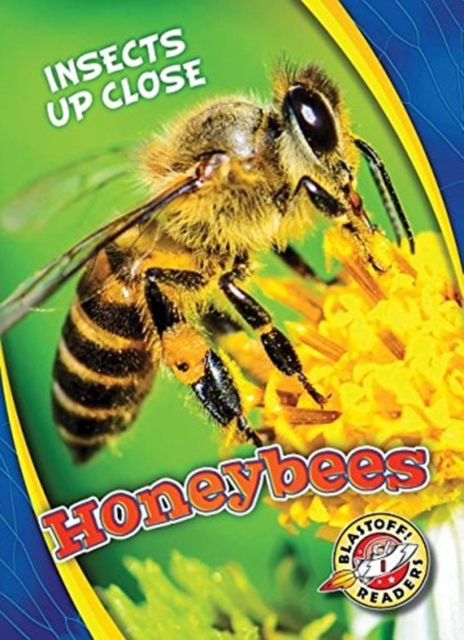 Honeybees, Hardback Book