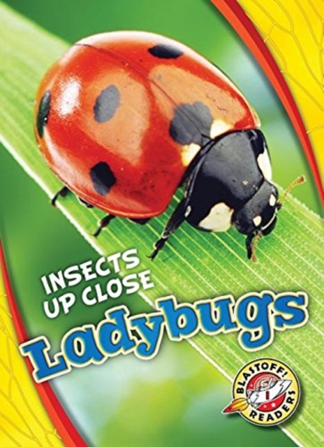 Ladybugs, Hardback Book