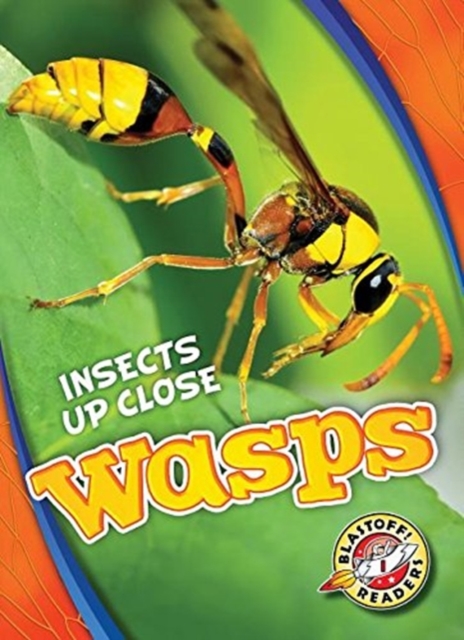 Wasps, Hardback Book
