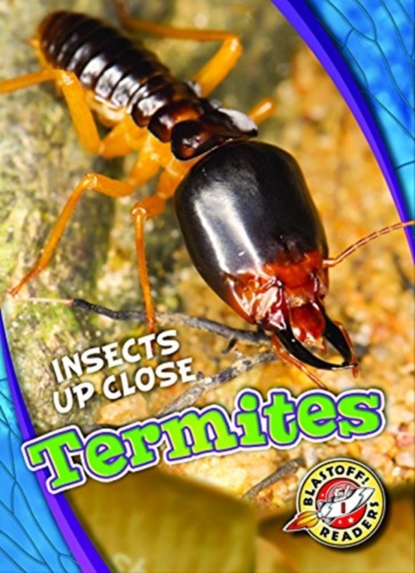 Termites, Hardback Book