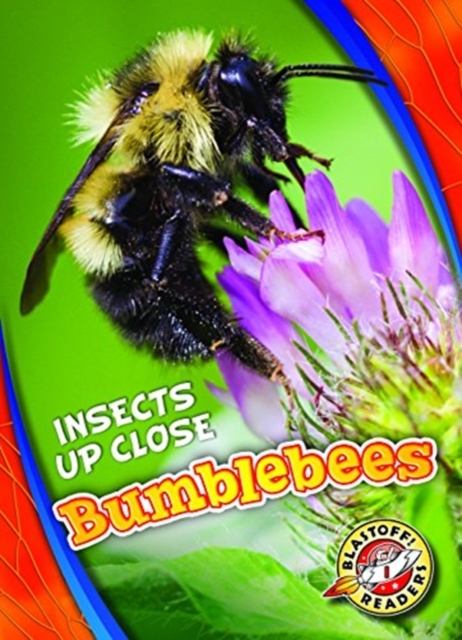 Bumblebees, Hardback Book