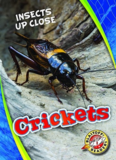 Crickets, Hardback Book