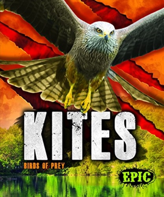 Kites : Birds of Prey, Hardback Book