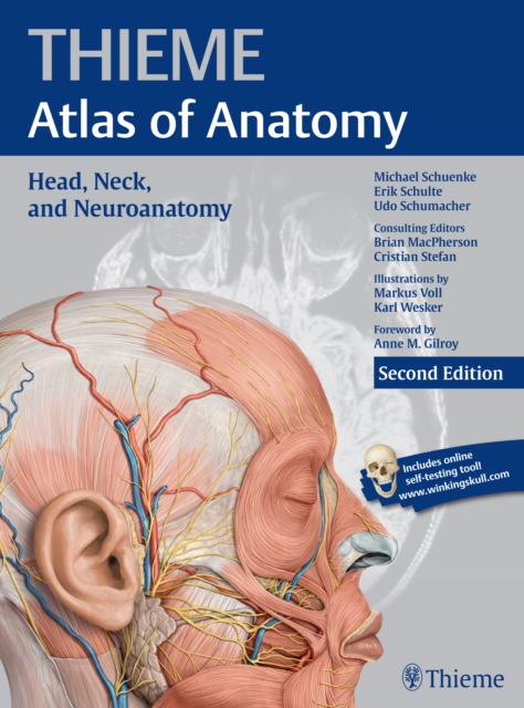 Head, Neck, and Neuroanatomy (THIEME Atlas of Anatomy), Paperback / softback Book