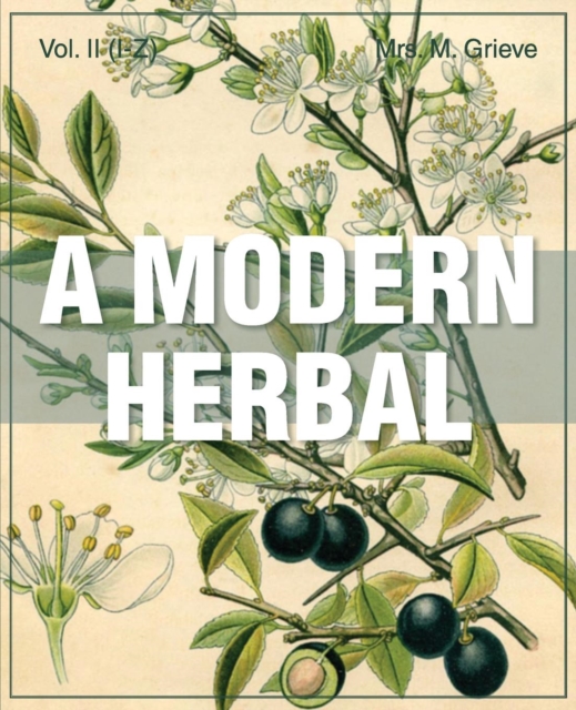 Modern Herbal Vol 2, Paperback / softback Book