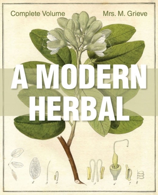 A Modern Herbal : The Complete Edition, Paperback / softback Book