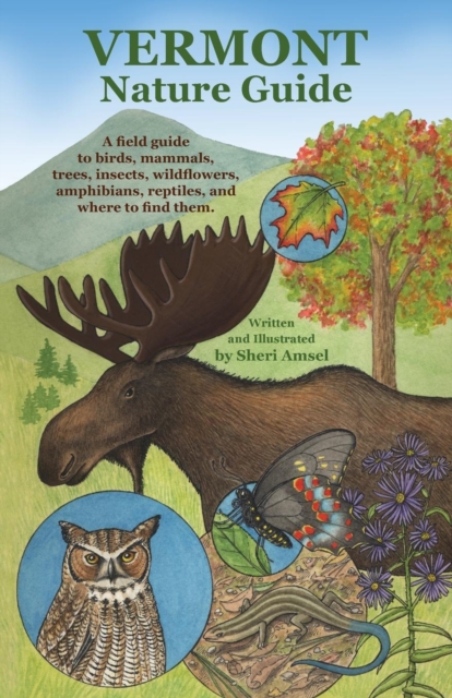Vermont Nature Guide : A field guide to birds, mammals, trees, insects, wildflowers, amphibians, reptiles, and where to find them, Paperback / softback Book