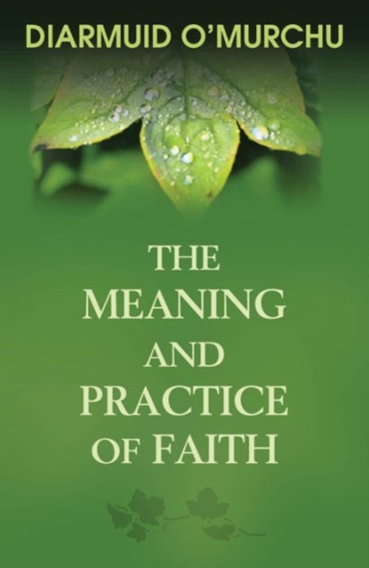 The Meaning and Practice of Faith, Paperback / softback Book