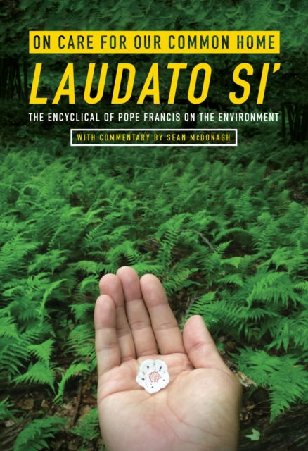 On Care for Our Common Home, Laudato Si' : The Encyclical of Pope Francis on the Environment with Commentary by Sean McDonagh, Paperback / softback Book