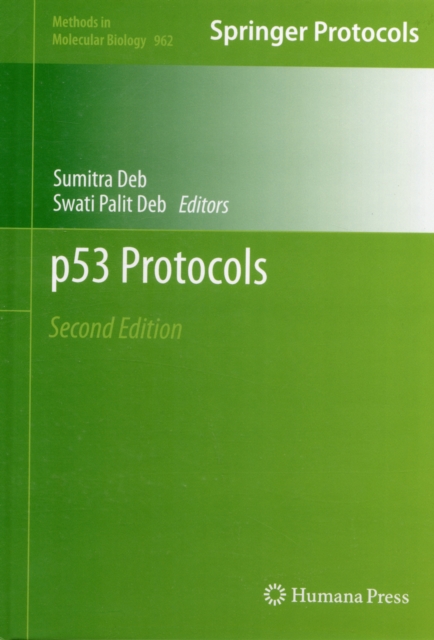 P53 Protocols, Hardback Book