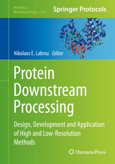 Protein Downstream Processing : Design, Development and Application of High and Low-Resolution Methods, Hardback Book