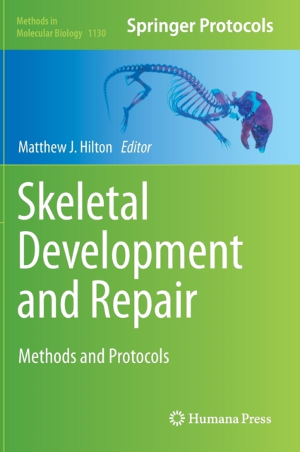 Skeletal Development and Repair : Methods and Protocols, Hardback Book