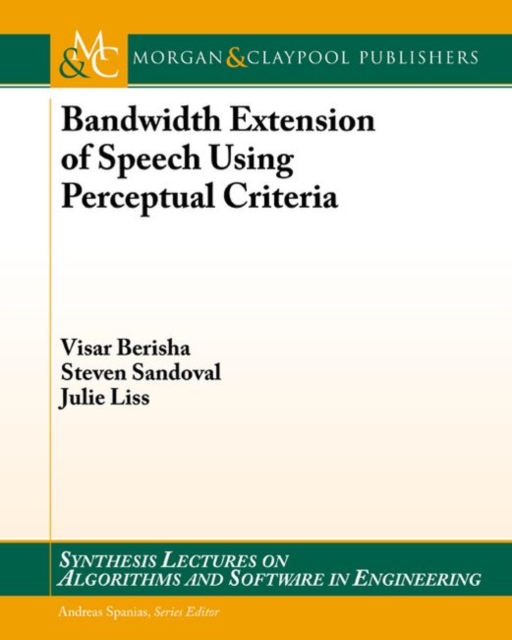 Bandwidth Extension of Speech Using Perceptual Criteria, Paperback / softback Book
