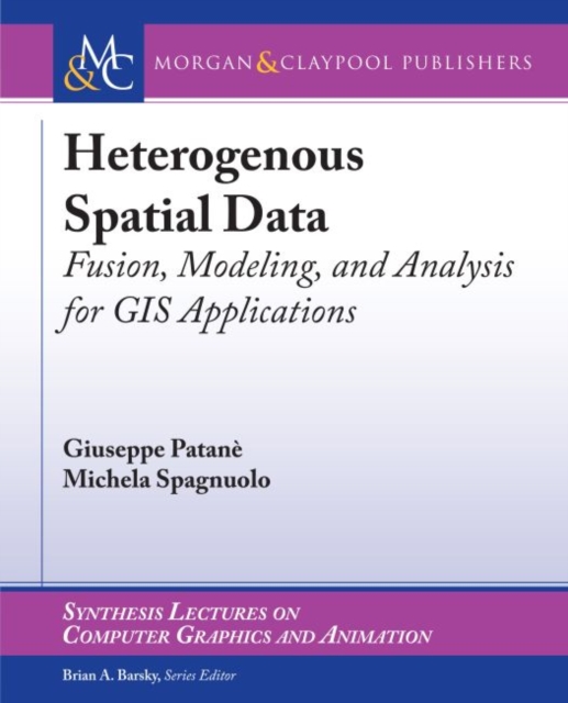 Heterogeneous Spatial Data : Fusion, Modeling, and Analysis for GIS Applications, Paperback / softback Book