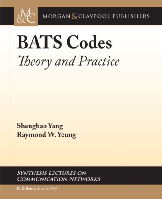 BATS Codes : Theory and Practice, Paperback / softback Book