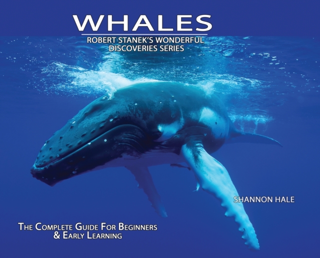 Whales, Library Edition Hardcover : The Complete Guide for Beginners, Hardback Book