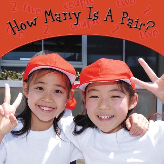 How Many Is A Pair?, PDF eBook