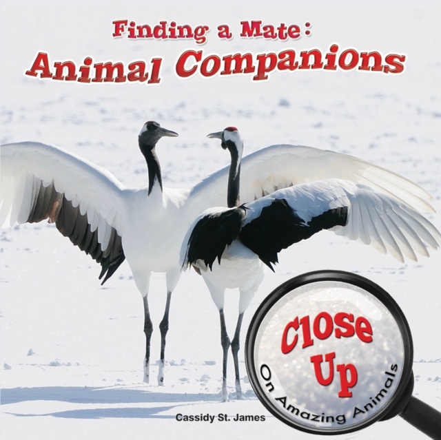 Teaming Up : Animal Partners, PDF eBook