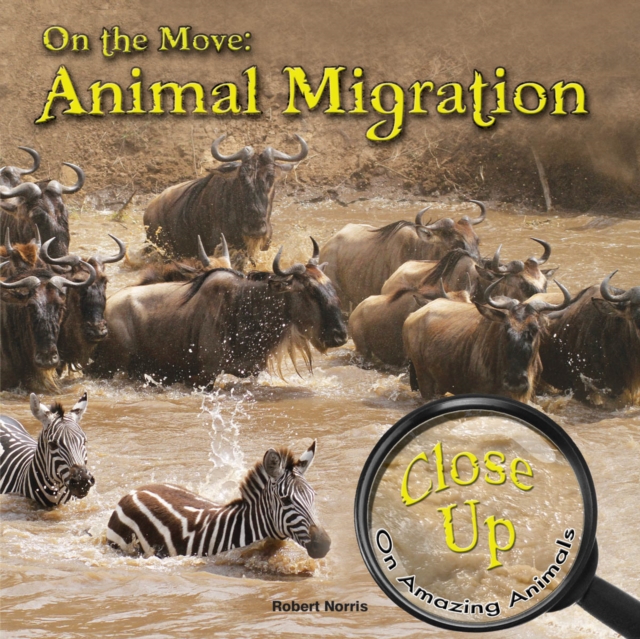 On the Move : Animal Migration, PDF eBook