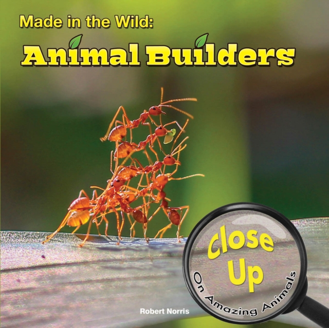 Made in the Wild : Animal Builders, PDF eBook