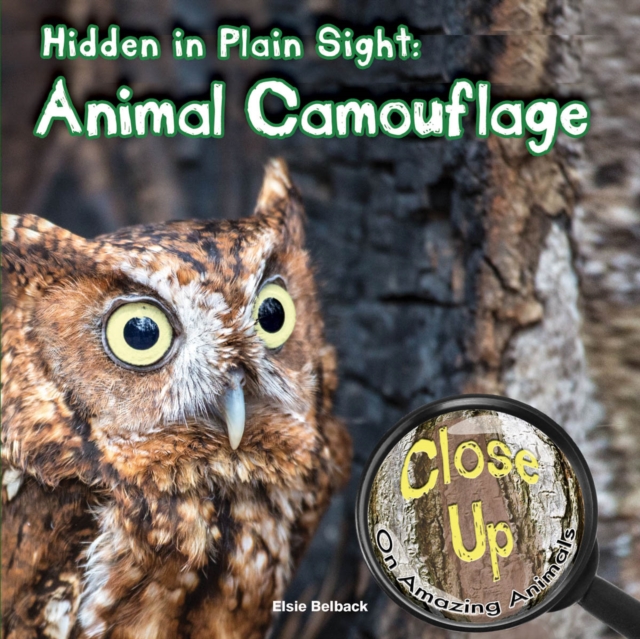 Hidden in Plain Sight : Animal Camouflage, PDF eBook