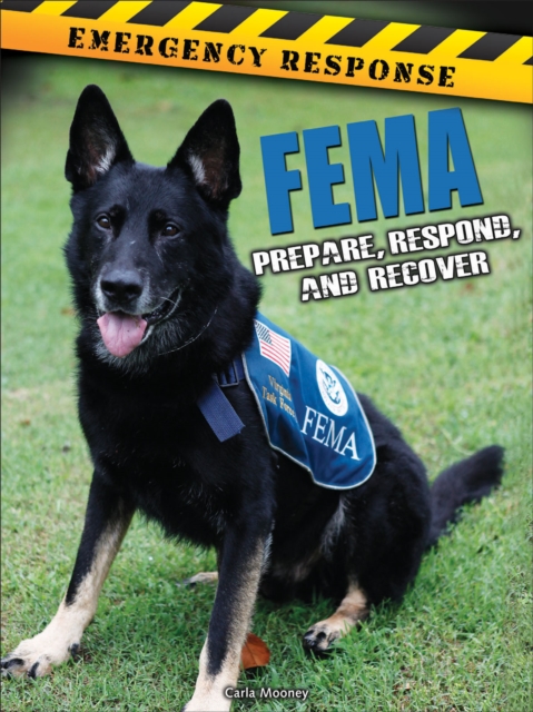 FEMA : Prepare, Respond, and Recover, PDF eBook