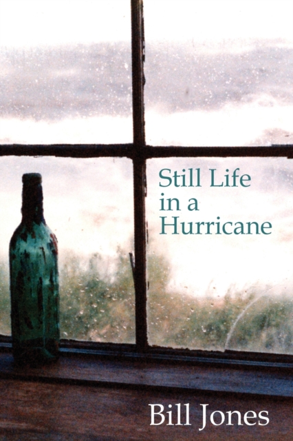 Still Life in a Hurricane, Paperback / softback Book