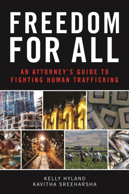 Freedom for All : An Attorney's Guide to Fighting Human Trafficking, EPUB eBook