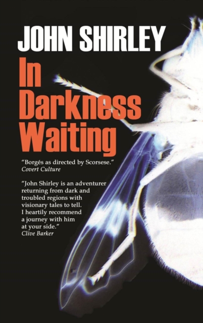 In Darkness Waiting, EPUB eBook
