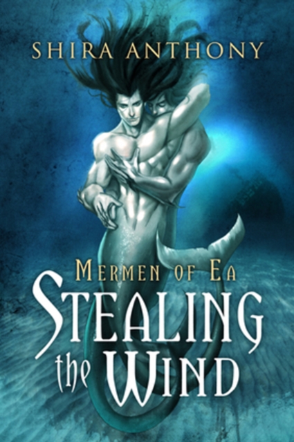 Stealing the Wind Volume 1, Paperback / softback Book