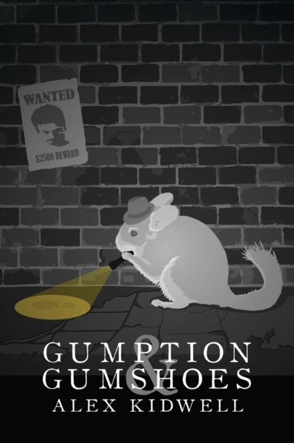 Gumption & Gumshoes, Paperback / softback Book