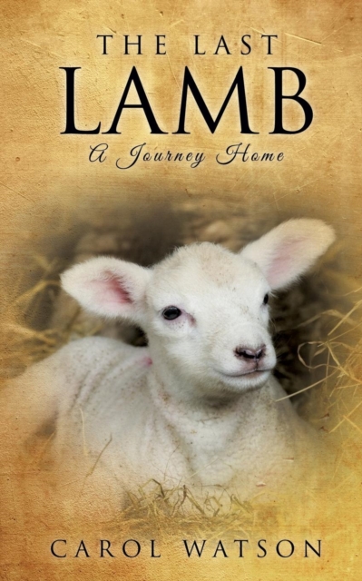The Last Lamb, Paperback / softback Book