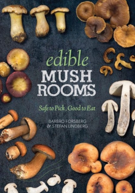 Edible Mushrooms : Safe to Pick, Good to Eat, Paperback / softback Book