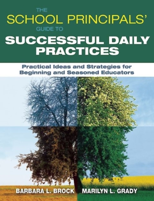 The School Principals' Guide to Successful Daily Practices : Practical Ideas and Strategies for Beginning and Seasoned Educators, Paperback / softback Book