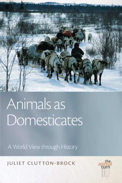 Animals as Domesticates : A World View through History, EPUB eBook