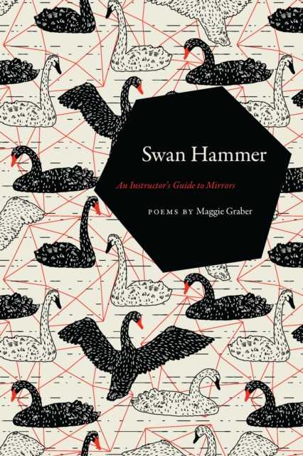 Swan Hammer : An Instructor's Guide to Mirrors, EPUB eBook