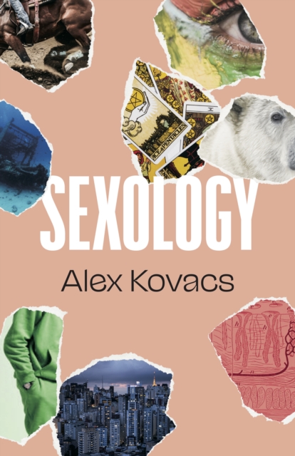 Sexology, Paperback / softback Book